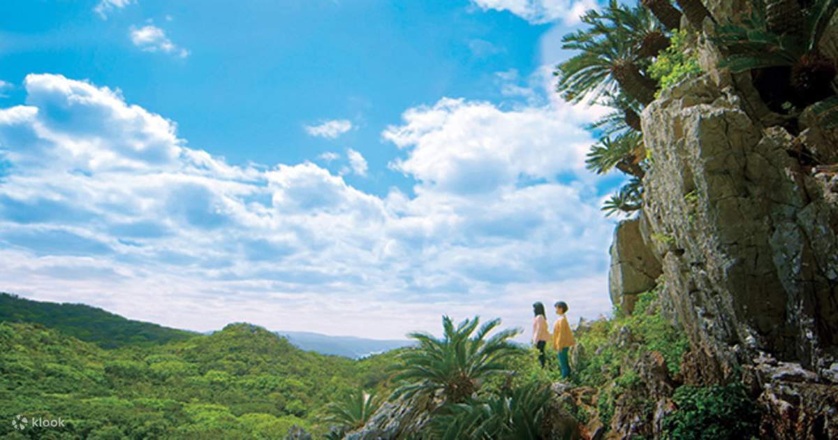 Klook Exclusive Okinawa Rail Ecology Center Mangrove Daisekirinzan Yambaru National Park Nature Tour Klook